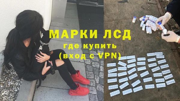 стафф Алзамай