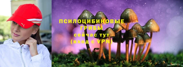 mdpv Алексеевка