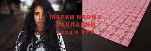 стафф Алзамай
